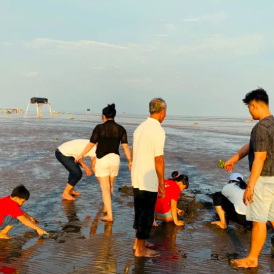 Du Lịch Gò Công Tây Mua Gì Làm Quà? Mắm Bà Hai Diễm - Lựa Chọn "Số 1" Đậm Tình Quê